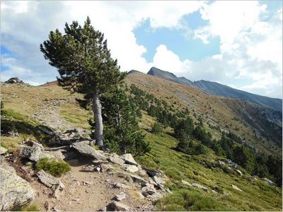 Canigou