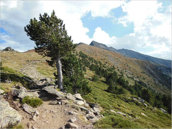 Canigou (Vernet - Bonne-Aigue)