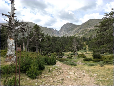 cortalets-canigou