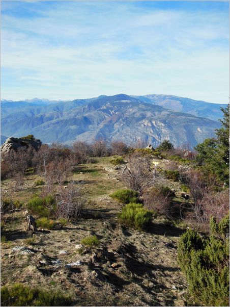 cogoullo-col