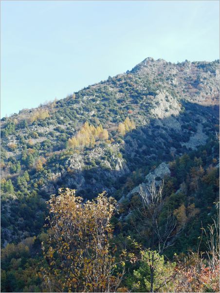 pic-cogoullo