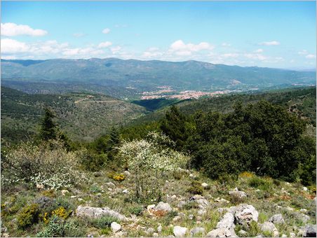 hill-prades